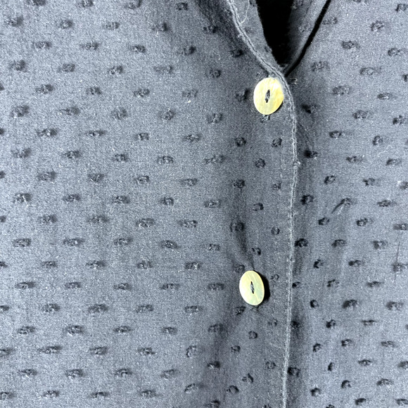 Pomander Place Tuckernuck Scarlett Top Womens Large Blue Swiss Dot Button Down - Picture 6 of 16